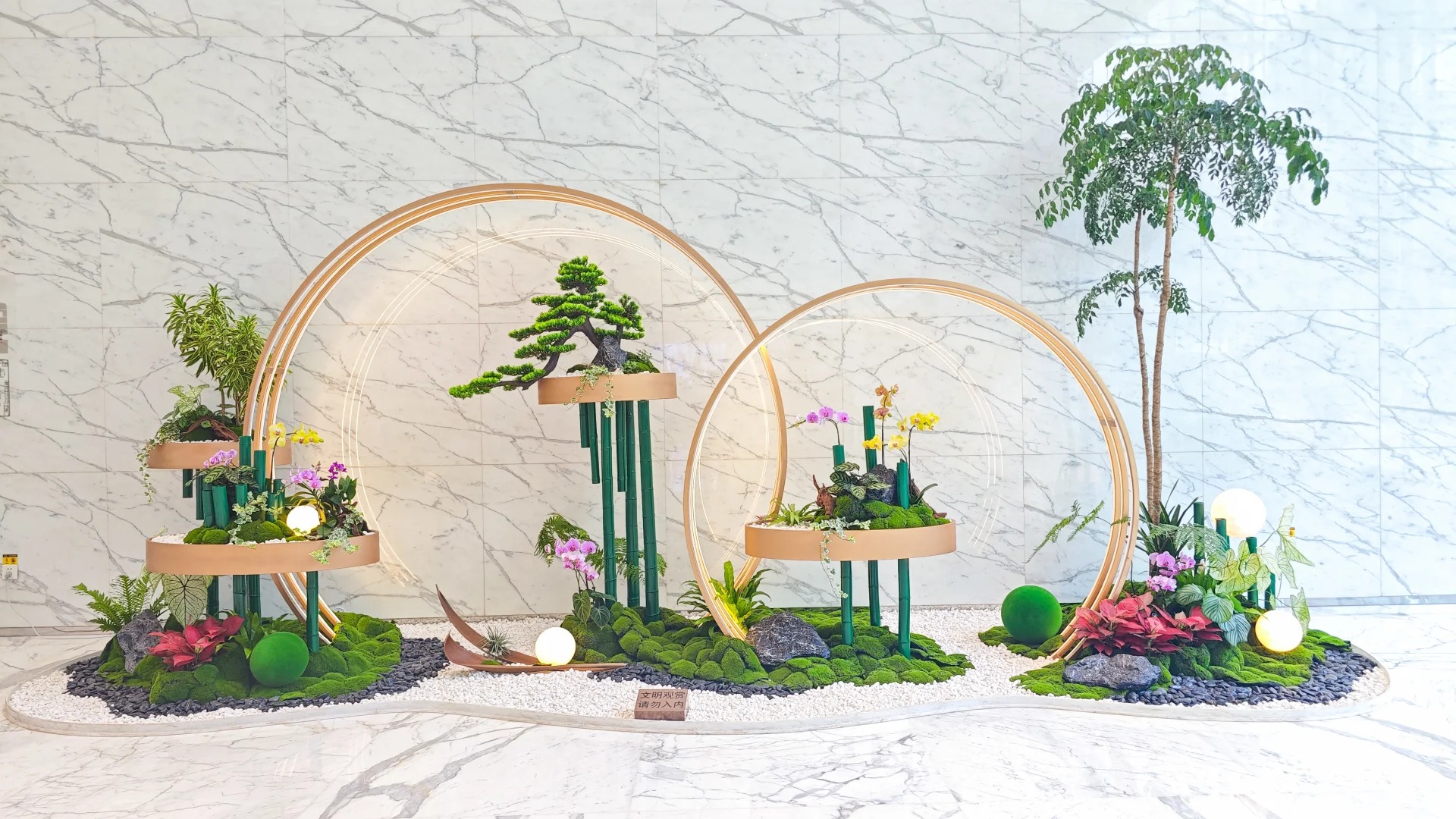 专业植物租赁,点亮宁波鄞州的每处角落